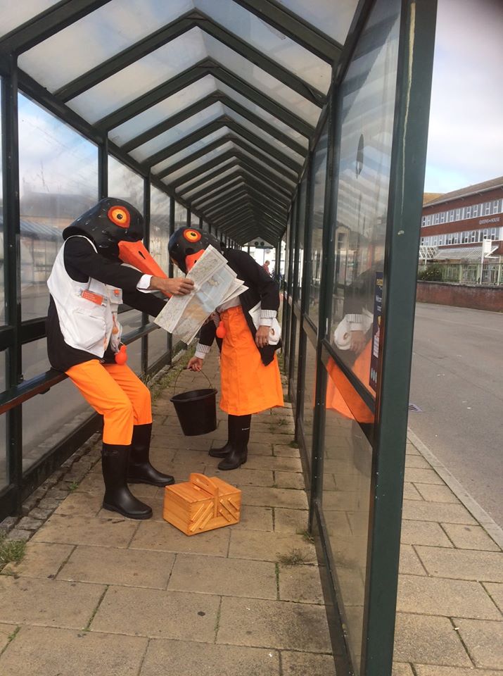 Oyster catchers at the bus station