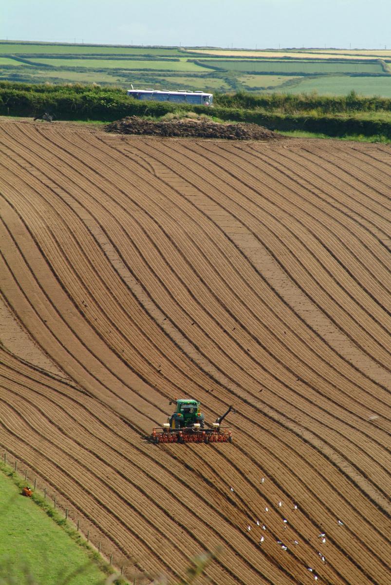 Hartland Peninsula Farming