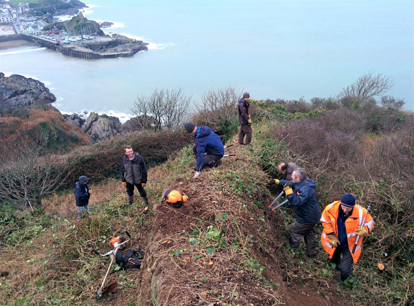 Volunteers at Hillsborough hillfort