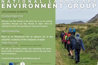 Get Involved in North Devon’s Environment Group! 