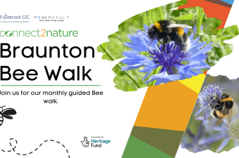 Braunton Bee Walk
