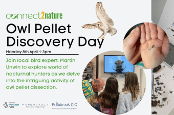 Owl Pellet Discovery Day
