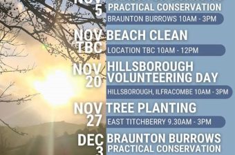 Braunton Burrows Practical Conservation Day