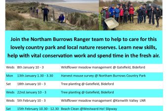 Volunteer with the Rangers – Dune Fencing