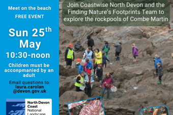 Rockpool Ramble Combe Martin