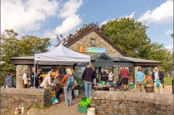 Braunton Burrows Discovery Day
