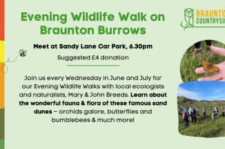 Evening Wildlife Walk – Braunton Burrows