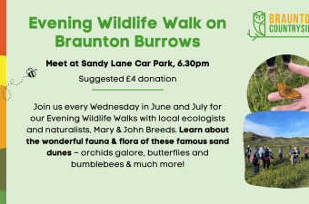 Evening Wildlife Walk – Braunton Burrows