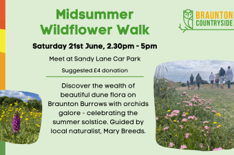 Midsummer wildlife walk – Braunton Burrows