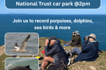 Baggy Point Wildlife Watch