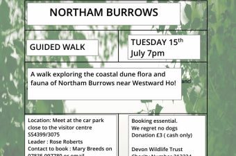 Northam Burrows Walk