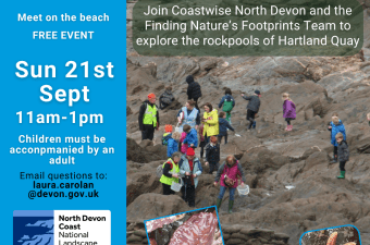 Rockpool Ramble Hartland Quay