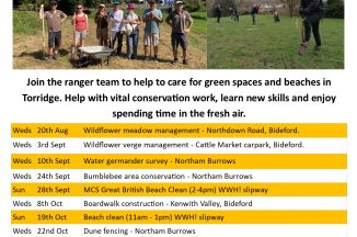 Beach Clean – Westward Ho!