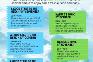 A Good Start To The Week – Northam