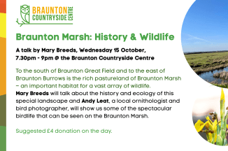 Braunton Marsh – History & Wildlife