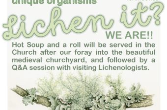 Discover Lichens