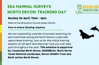 Sea Mammal Survey Training