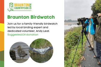 Braunton Bird Watch Crow Point