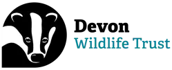 Devon Wildlife Trust