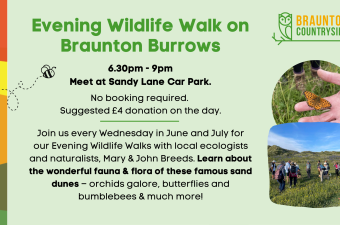 Evening Wildlife Walk Braunton Burrows