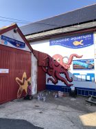 New Ilfracombe Aquarium exhibits
