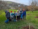 Brimlands Orchard Ilfracombe