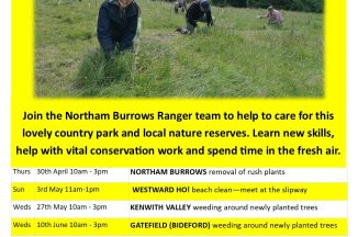 Kenwith Valley Conservation Tasks