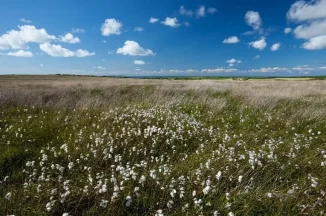 Wildlife habitat in England’s most cherished landscapes set to be restored with new government fund
