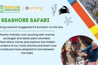 Seashore Safari Saunton