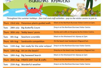 Teddy Bear’s Picnic – Northam Burrows
