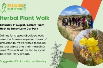 Herbal Plant Walk