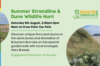 Strandline and Dune Wildlife Hunt