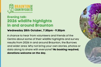 2026 Wildlife highlights in and around Braunton