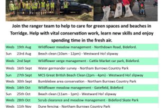Scrub clearance and meadow management