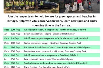 Wildflower Meadow Management – Gatefield, Bideford