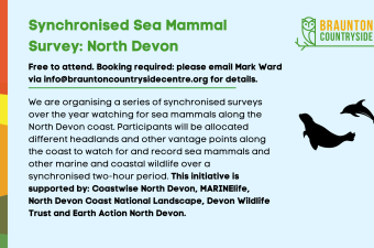 North Devon Synchronised Marine Mammal Survey