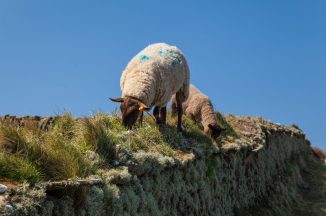 Farming in Protected Landscapes Programme