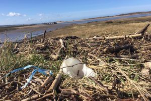 Five year strategy to rid northern Devon of single-use plastics